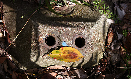 2009_0401face.jpg