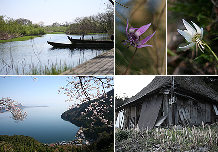 2009_0411kohoku.jpg