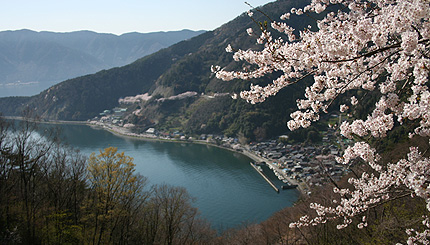 2009_0411sugaura.jpg
