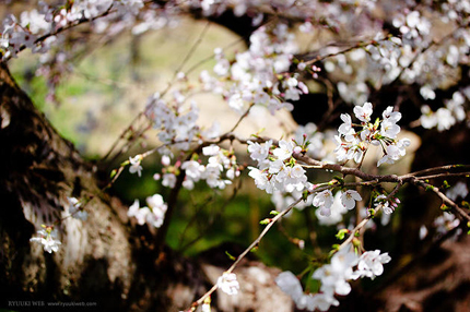 20150407.jpg