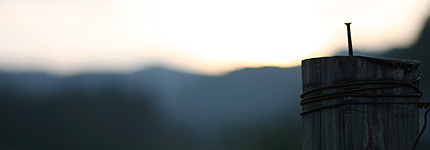 2008_0715kugi.jpg