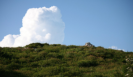 2009_0816oka.jpg