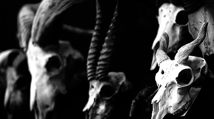 2009_0823bones.jpg