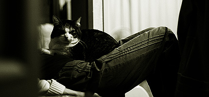 2009_1202miiko.jpg