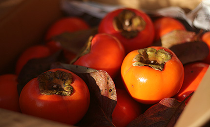 2009_1211kaki.jpg