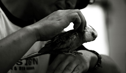 2010_0607inco.jpg