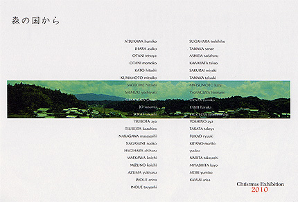 2010_1129dm.jpg