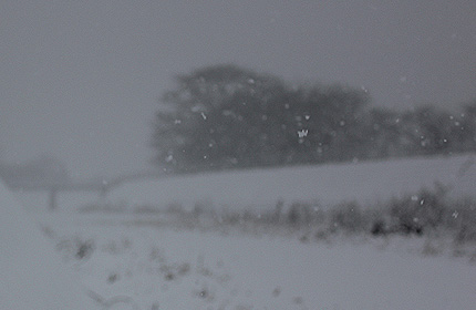 2010_1231snow.jpg