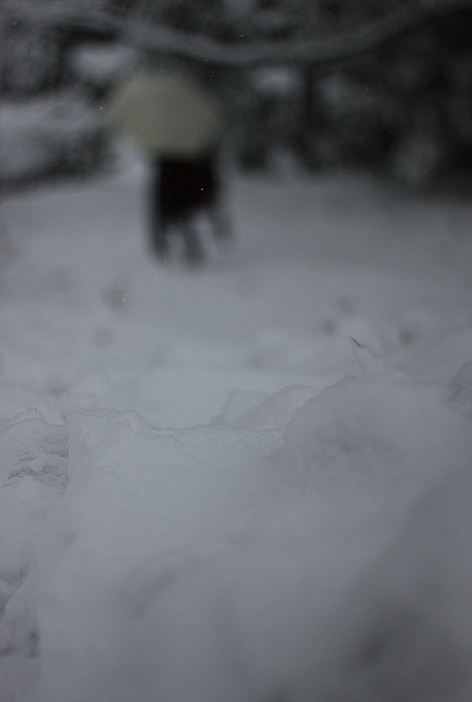 2011_0214snow.jpg