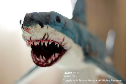 2011_0412jaws.jpg