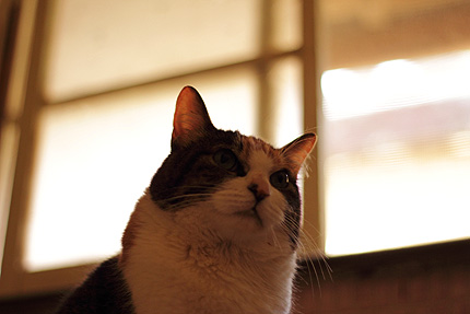 2011_0925miiko.jpg