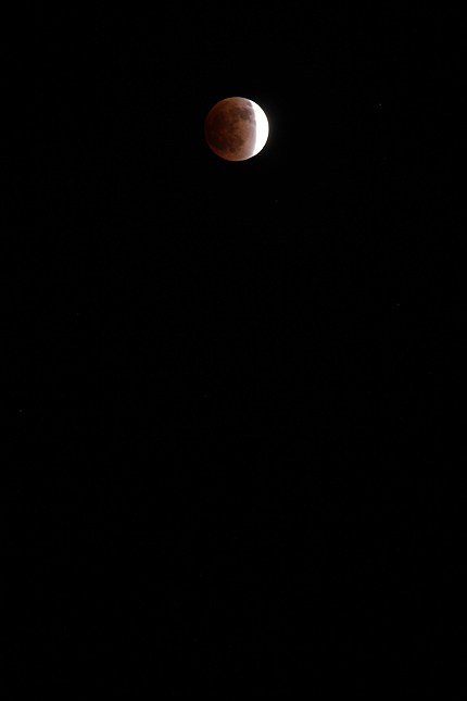 2011_1210moon2.jpg