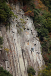 2012_1114kouchidani.jpg