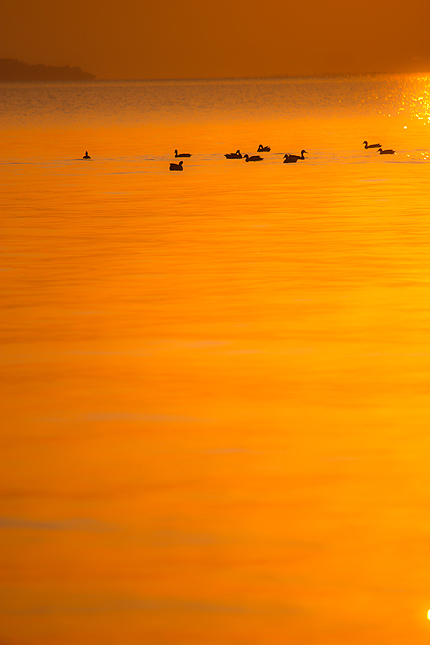 2012_1231biwako.jpg
