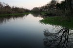 2013_0116harie.jpg