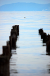 2013_0128biwako.jpg