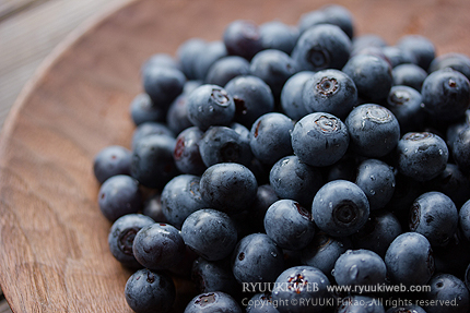 2013_0828blueberry.jpg