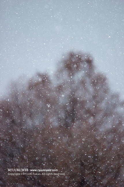 2014_0119snow.jpg
