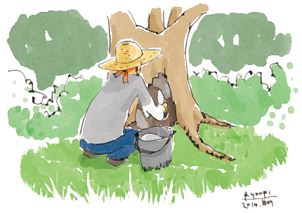 2014_0531hoshuu.jpg