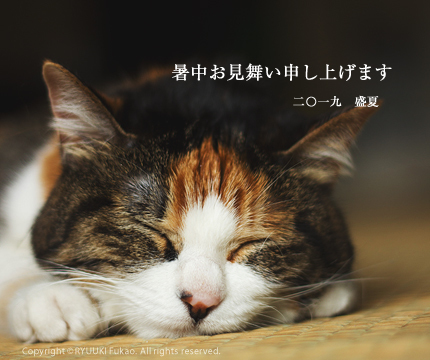 20190803.jpg