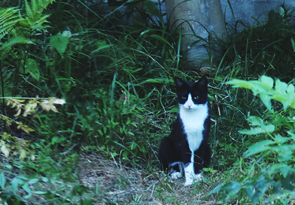 20190925_5.jpg